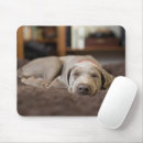 Search for dog sleeping mousepads Canine