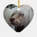 Search for chinese crested dog ornaments Breed