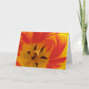 Search for fiery cards Photography
