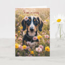 Search for humour get well cards Humor