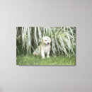 Search for back yard art Horizontal