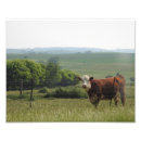 Recherche de bel arbre posters Arbres