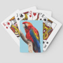 Search for parrot playing cards Macaw