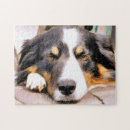 Recherche de colley puzzles Animal