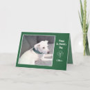 Search for clover photo cards Green