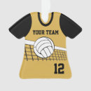 Search for volleyball ornaments High school