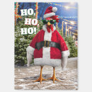 Search for chicken magnets Avanti press