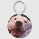 Search for bully dog keychains Puppy
