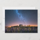 Search for new zealand cards Lupine