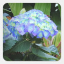 Search for floral nature stickers Garden