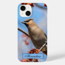 Recherche de brown photographie Oiseau
