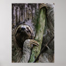 Search for sloth art Hanging