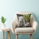 Search for animal hides pillows Hiding