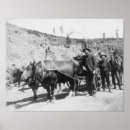Search for prospector posters Gold