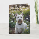 Search for dog rose birthday cards Roses