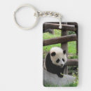 Search for china panda accessories Zoo