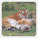 Search for affectionate stickers Nature