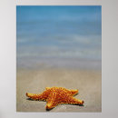 Recherche de créatures de mer posters Faune