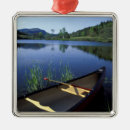 Search for in the wilderness ornaments Peaceful