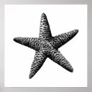Recherche de scientifique posters Illustration