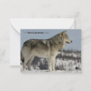 Search for canadian winter postcards Animals