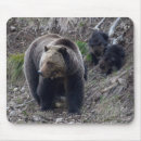 Search for grizzlies mousepads Grizzly