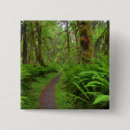 Search for moss buttons Fern
