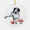 Search for harlequin great dane decor Pet