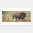 Search for american bison stickers Wildlife