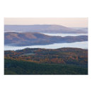 Search for trees in fog art Usa