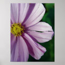 Search for photgraphy posters Digital