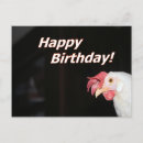 Search for hens horizontal postcards Bird