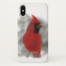 Search for red cardinal bird iphone cases Wildlife