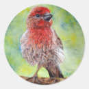 Recherche de finition autocollants Nature