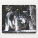 Search for studies mousepads Wildlife