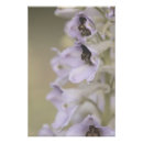 Recherche de grande prairie posters Pour tous