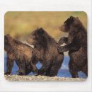 Recherche de ours brun tapis souris Bébé