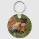 Search for ridgeback dog keychains Rhodesian