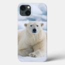 Search for bear ipad cases Animal