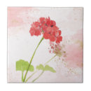 Search for geranium tiles Red