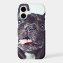Search for french bulldog iphone cases Purebred