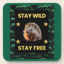 Search for hedgehogs coasters Wildlife