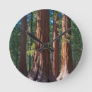 Search for tree trunk clocks Forest