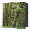 Search for rain forest office supplies Pacific northwest