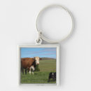 Search for large image keychains Horizontal