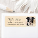 Search for border collie return address labels Pet