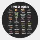 Search for funny bug stickers Entomology