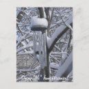 Recherche de chimpanzé drôle cartes postales Chimpanzés