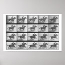 Search for eadweard muybridge posters From
