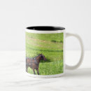 Recherche de amer tasses Buggy